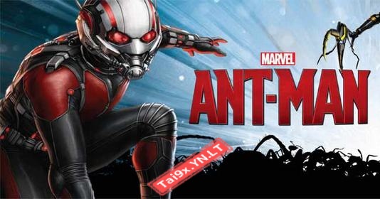 Ant Man - Người Kiến