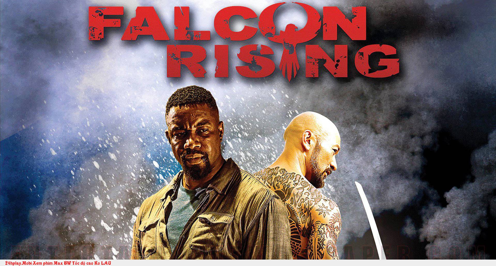 Chim Ưng Nổi Dậy: Falcon Rising
